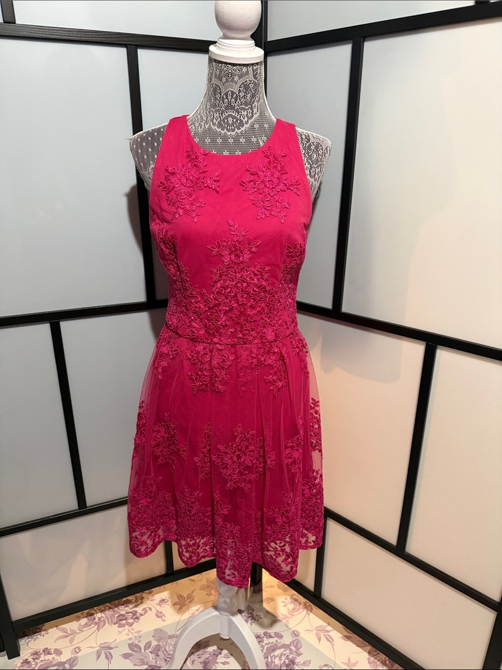 Taylor Hot Pink Sleeveless Embroidered A-Line Mini Dress